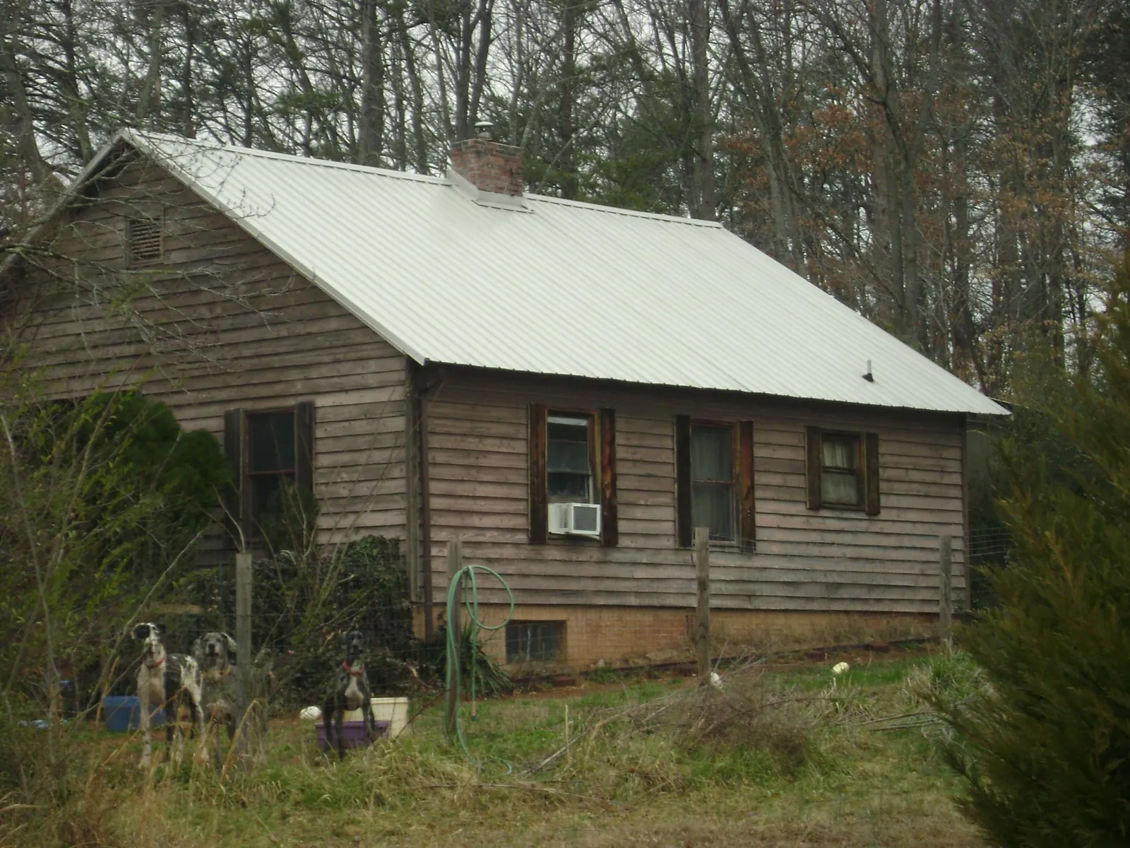 White metal roof on an old wood sided farmhouse, from a Asphalt Shingle Roof Repair job in North Chili